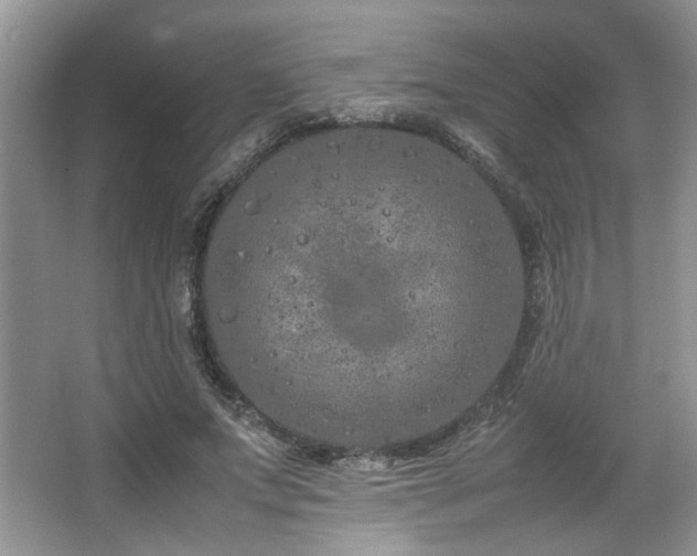 X0000064730687200602101150