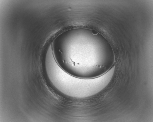 X0000064730688200602101150