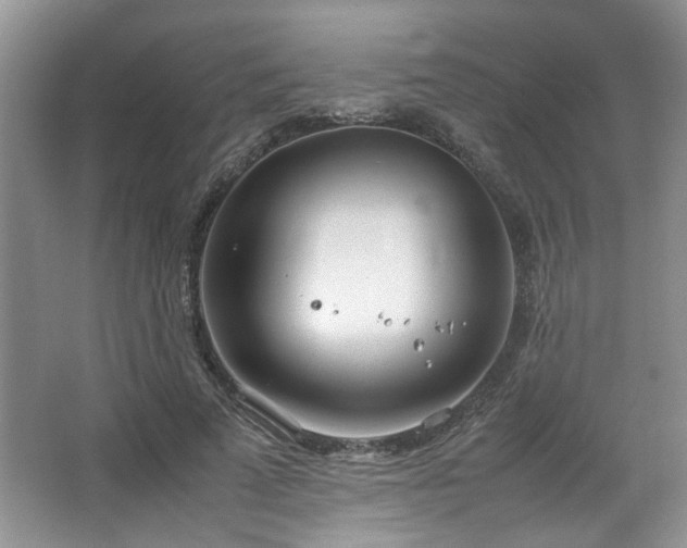 X0000064730689200602101150