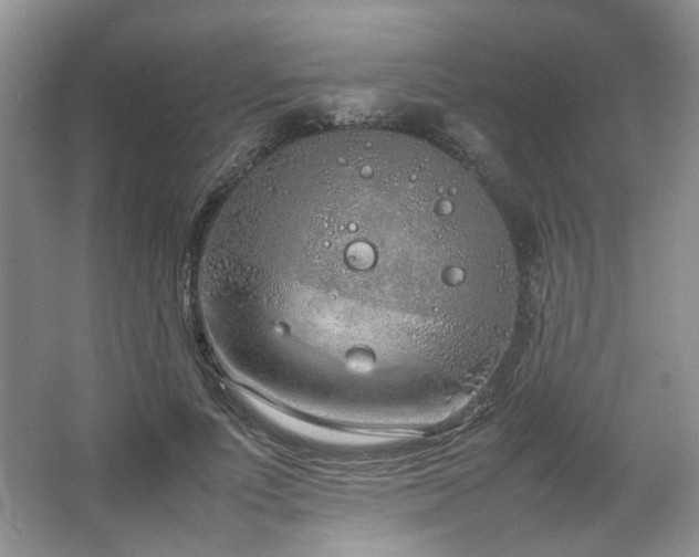 X0000064730691200602101150