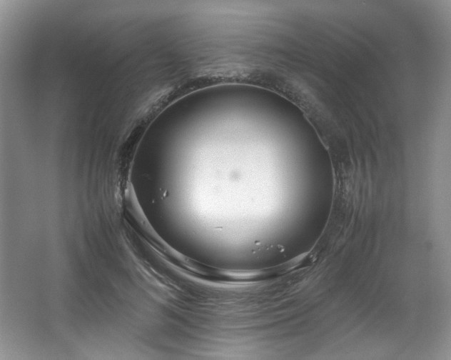 X0000064730692200602101150