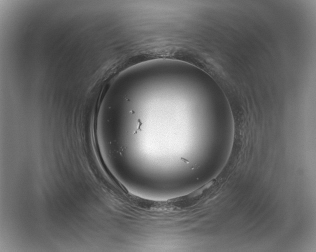 X0000064730693200602101150