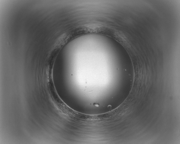 X0000064730694200602101150