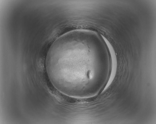 X0000064730695200602101150