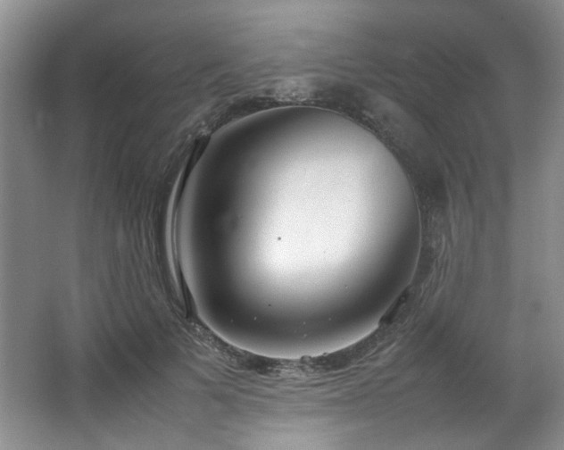 X0000064730697200602101150