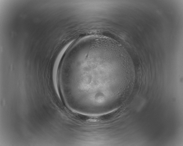 X0000064730699200602101150