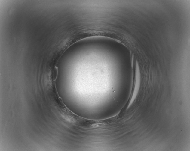 X0000064730700200602101150