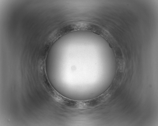 X0000064730701200602101150