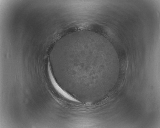 X0000064730703200602101150