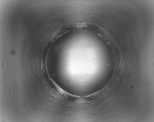 X0000064730704200602101150