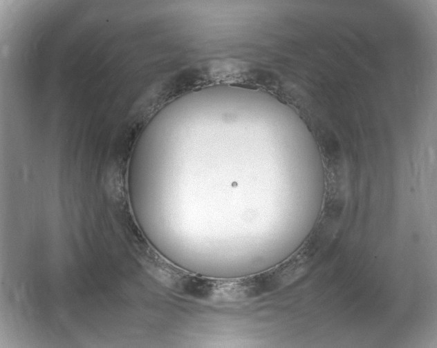 X0000064730705200602101150