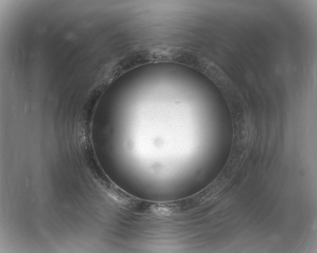 X0000064730706200602101150