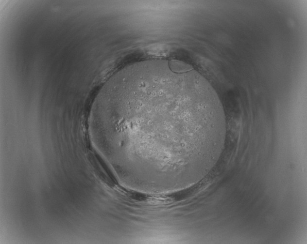 X0000064730707200602101150