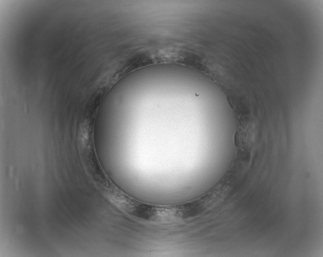 X0000064730709200602101150