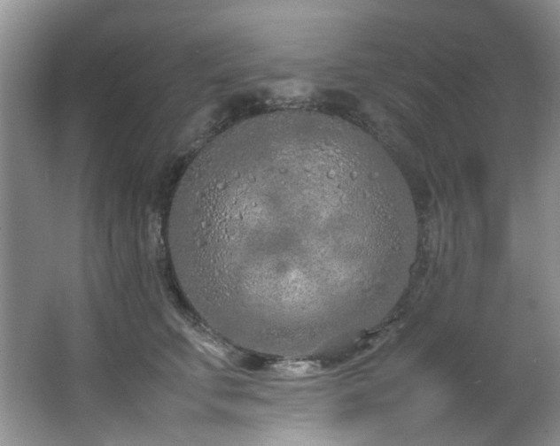 X0000064730711200602101150