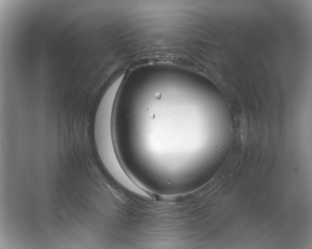 X0000064730712200602101150