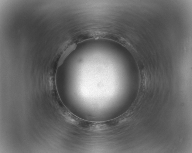 X0000064730716200602101150