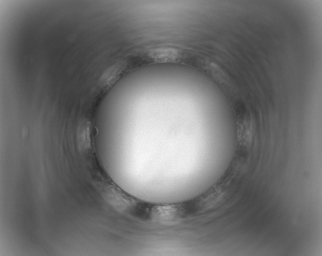 X0000064730717200602101150