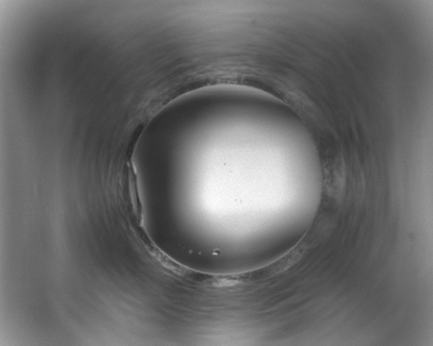 X0000064730718200602101150