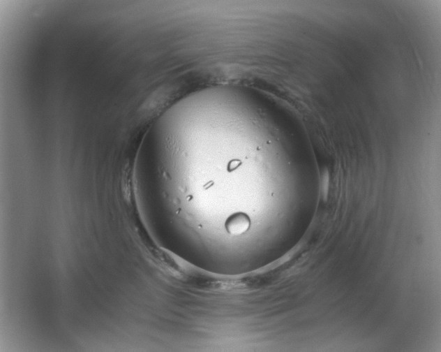 X0000064730719200602101150