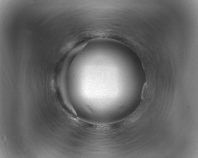 X0000064730720200602101150