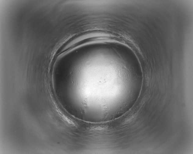 X0000064730721200602101149