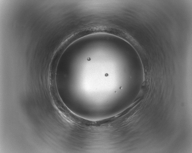 X0000064730722200602101149