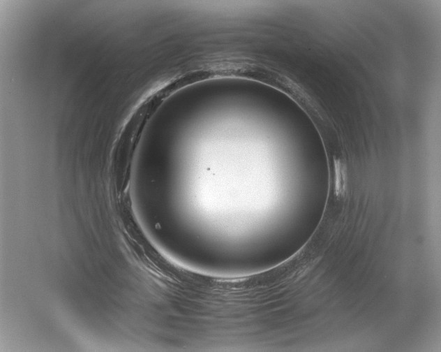 X0000064730723200602101149