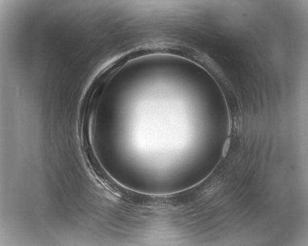 X0000064730724200602101149