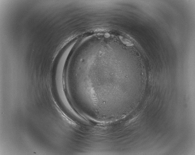 X0000064730725200602101149