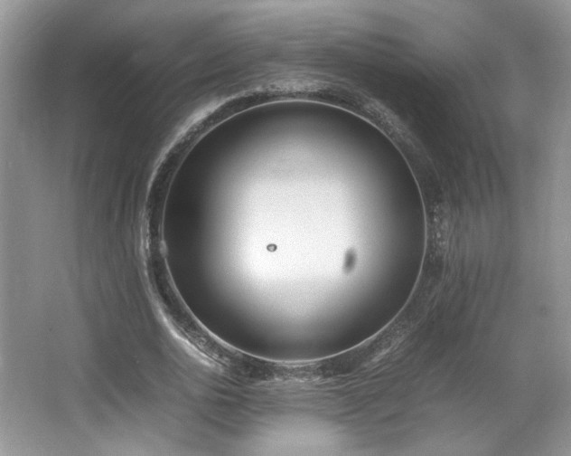 X0000064730726200602101149