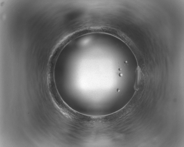 X0000064730728200602101149