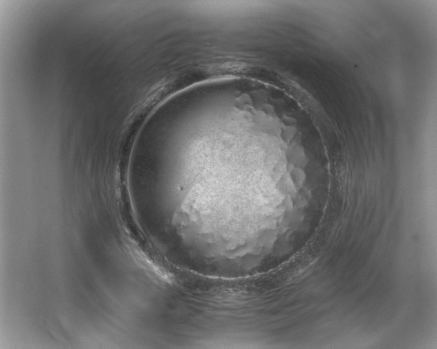 X0000064730729200602101149