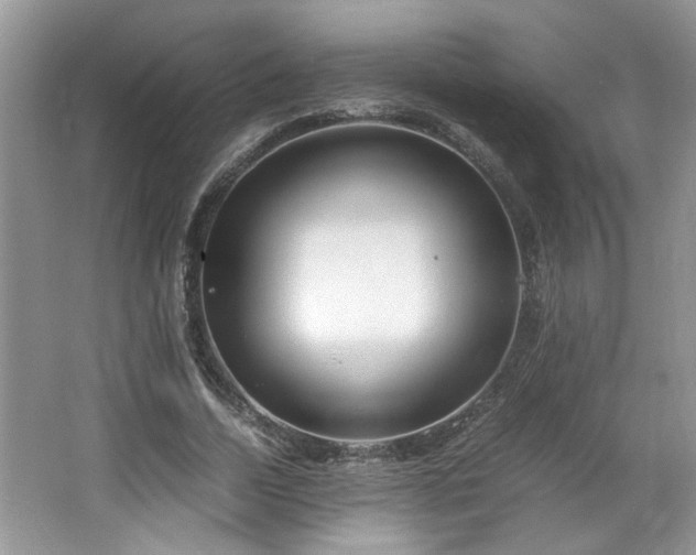 X0000064730730200602101149