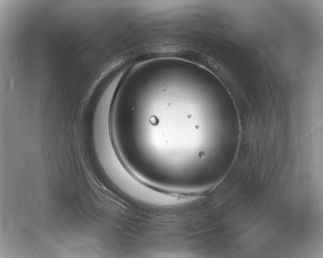 X0000064730731200602101149