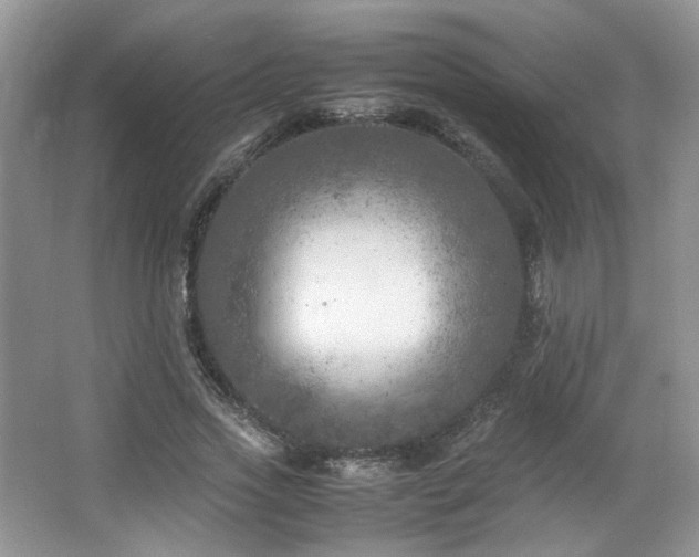 X0000064730733200602101149