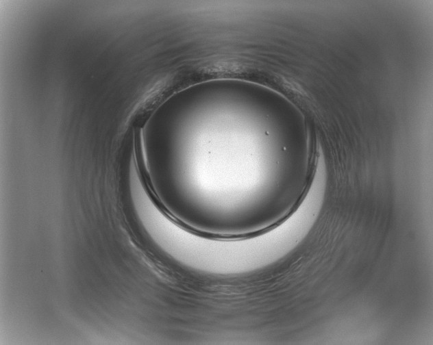 X0000064730735200602101149