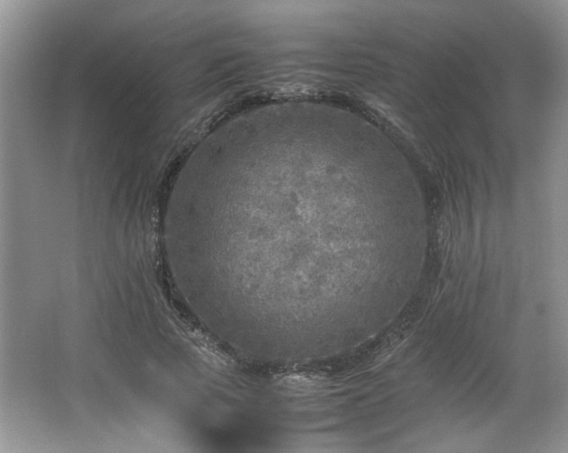 X0000064730737200602101149