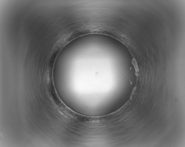 X0000064730740200602101149