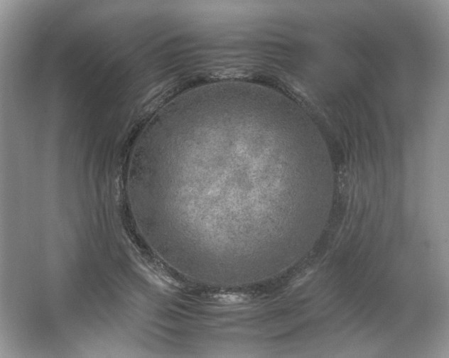 X0000064730741200602101149