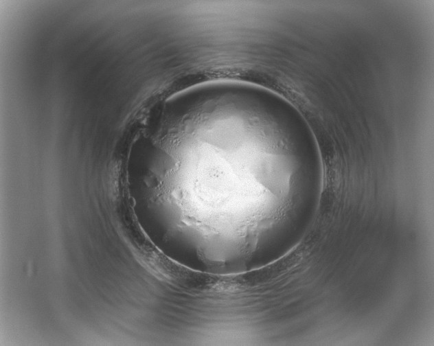 X0000064730742200602101149