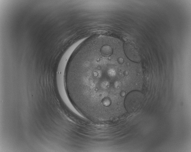 X0000064730745200602101149