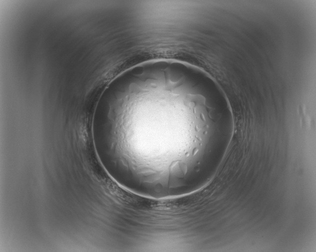 X0000064730746200602101149