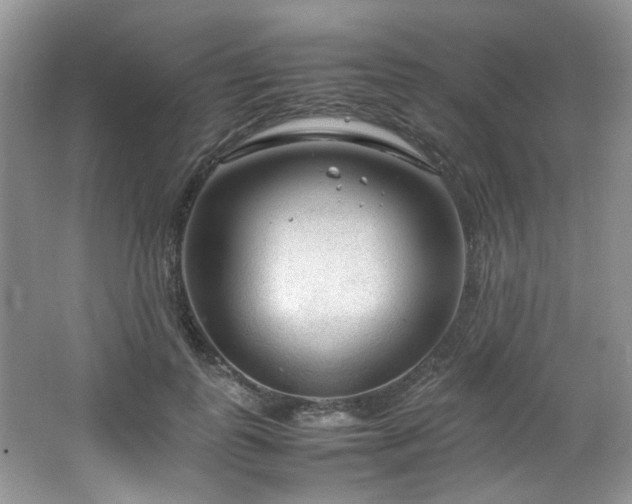 X0000064730747200602101149