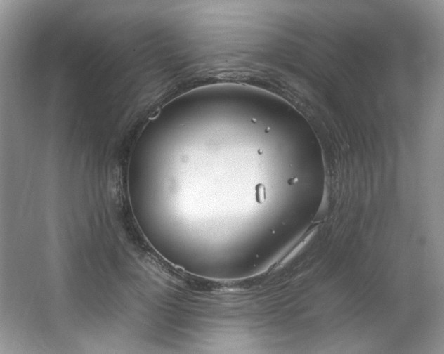 X0000064730748200602101149