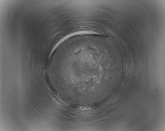 X0000064730749200602101149