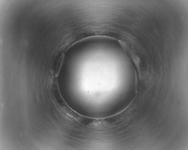 X0000064730752200602101149