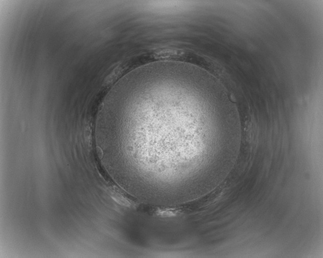 X0000064730753200602101149