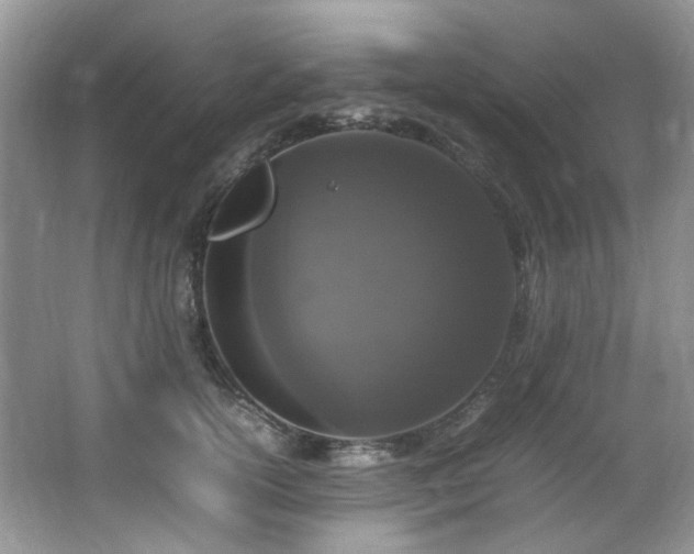 X0000064730754200602101149