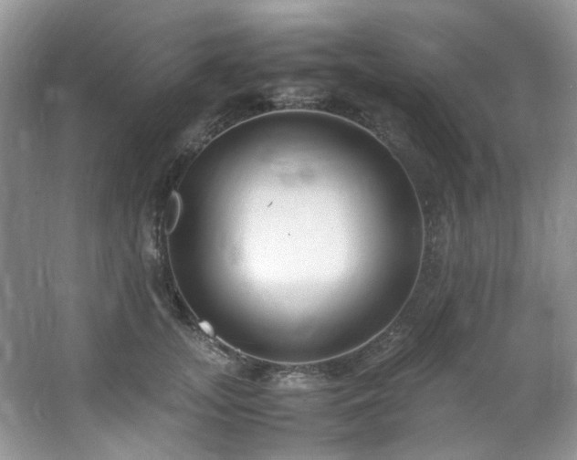 X0000064730755200602101149